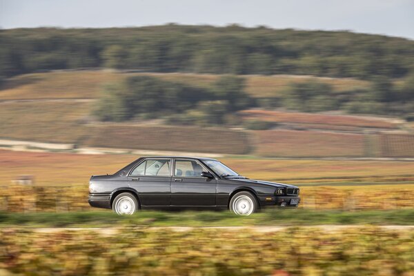 DB552FD1-27C7-4C4D-BB49-4232B83D44F7.jpeg