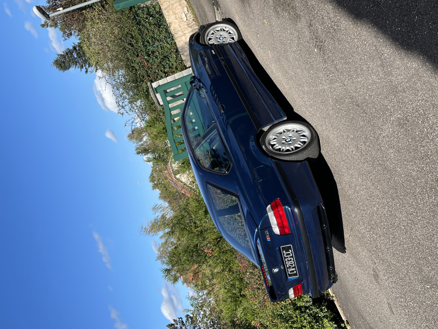 IMG_3281.jpeg