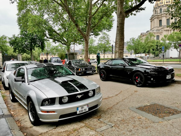 Imports - 1 sur 1 (4).jpeg