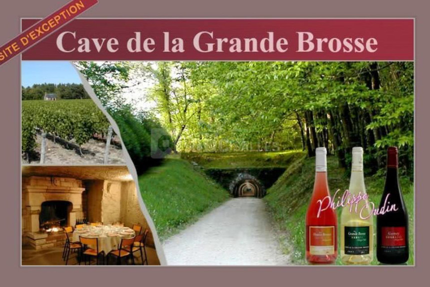 cave-de-la-grande-brosse.jpg