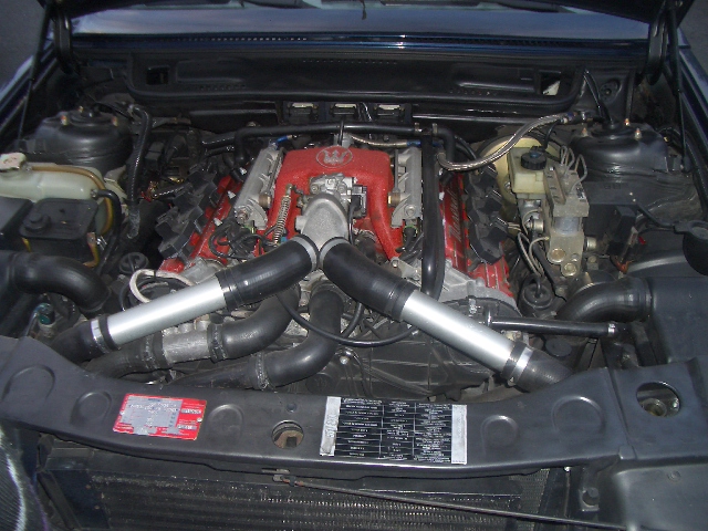 IMGP6126.JPG