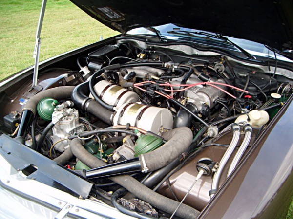 DSCF2510-1.jpg