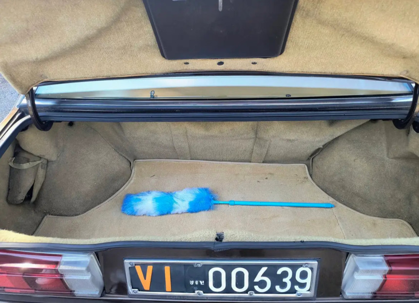 IMG_0953.jpeg